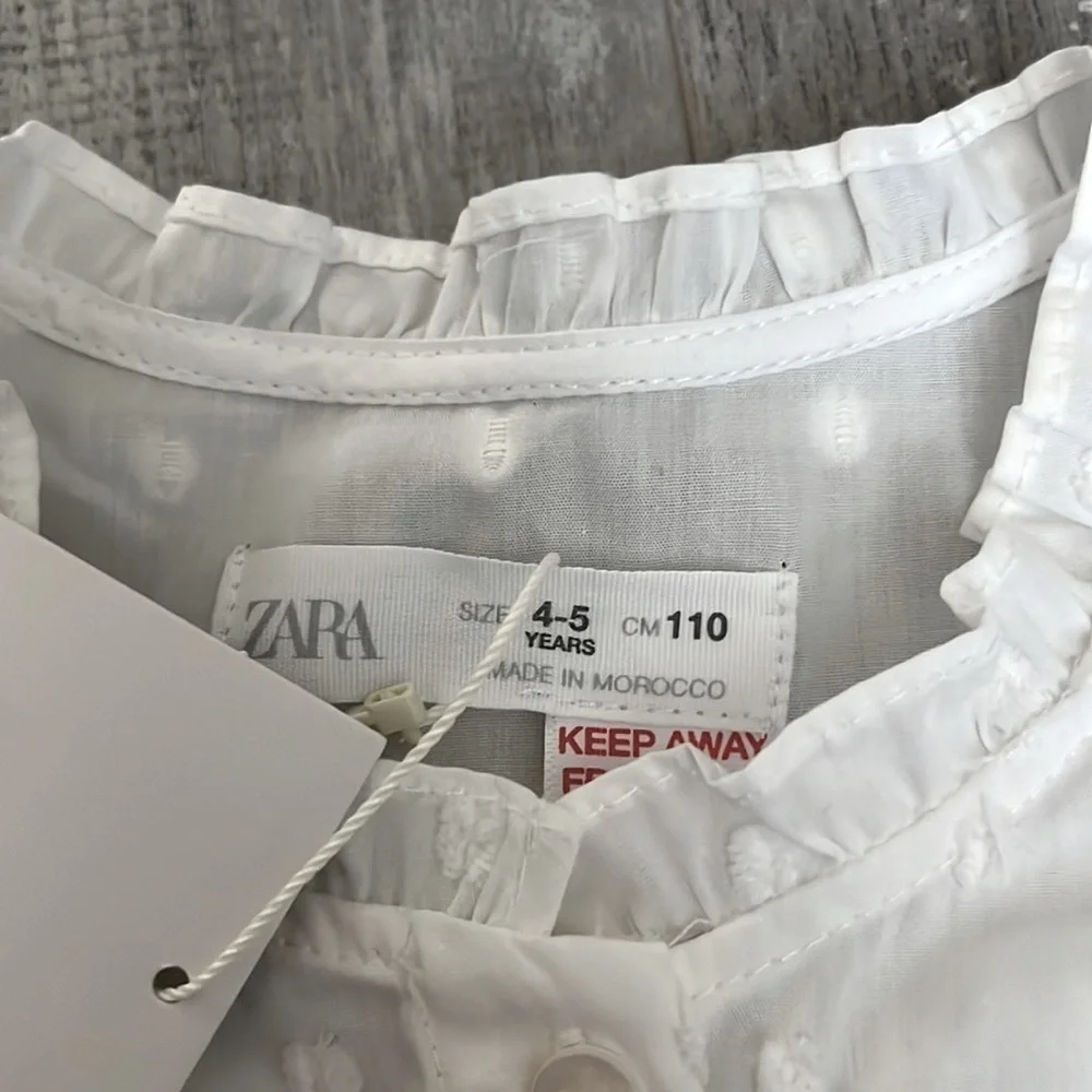 Zara Swiss Dot Shirt